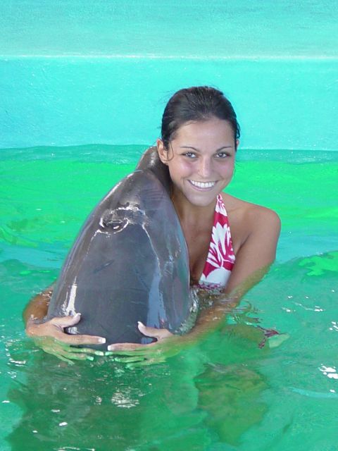 Dolphin Encounter at Ocean World, Puerto Plata - Key Points