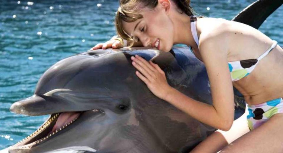 Dolphin Encounter for Dominican Residents - Key Points