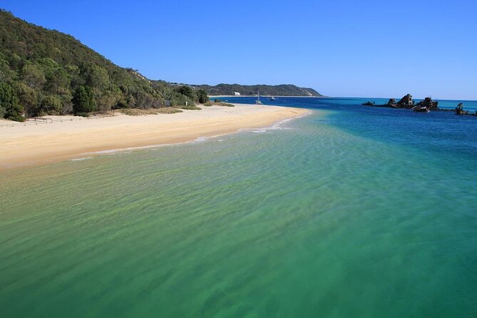 Dolphin Feeding Day Cruise to Tangalooma Island Resort on Moreton Island - Key Points