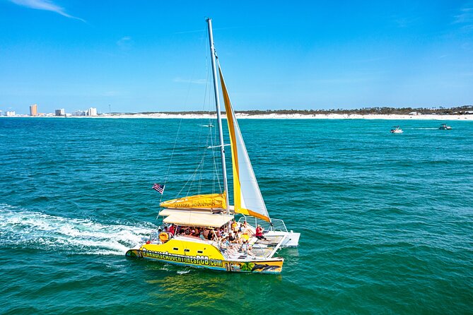 Dolphin Sightseeing Tour on the Footloose Catamaran From Panama City Beach - Key Points
