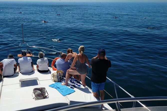 Dolphin Spotting Trips in Fuengirola With Free Drinks and Snacks - Key Points