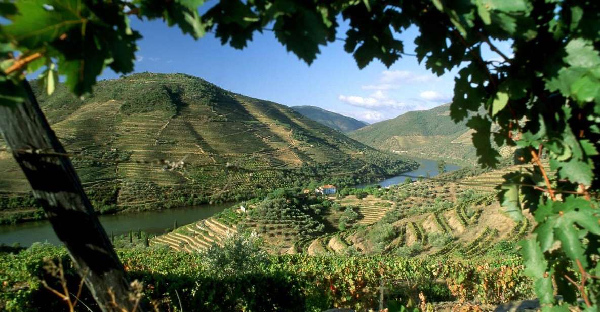 Douro Valley: Full-Day Private Tour From Porto - Key Points