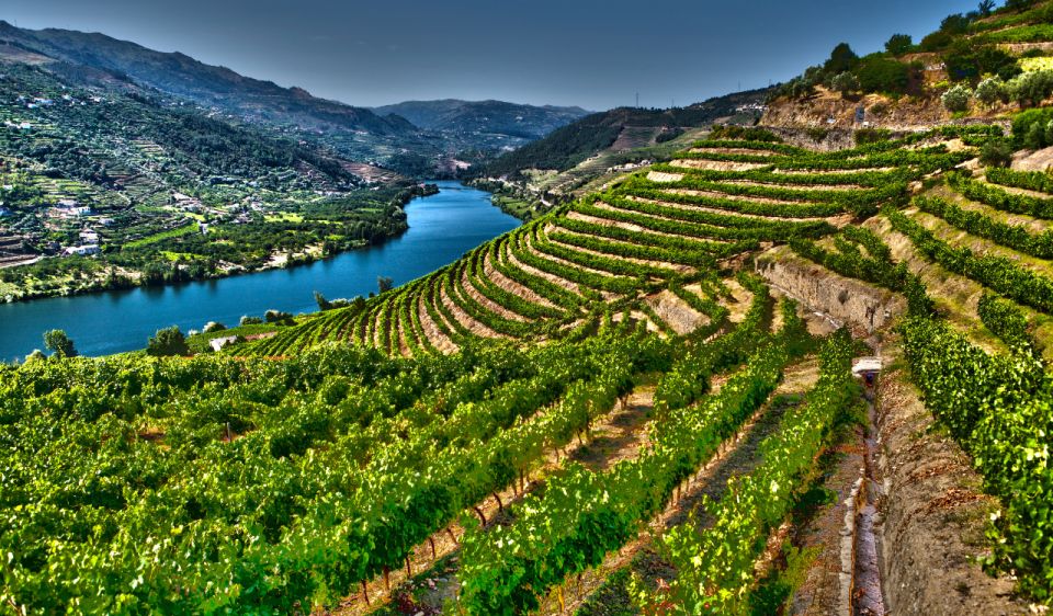 Douro Valley Private Tour With 2 Wine Tastings - Key Points