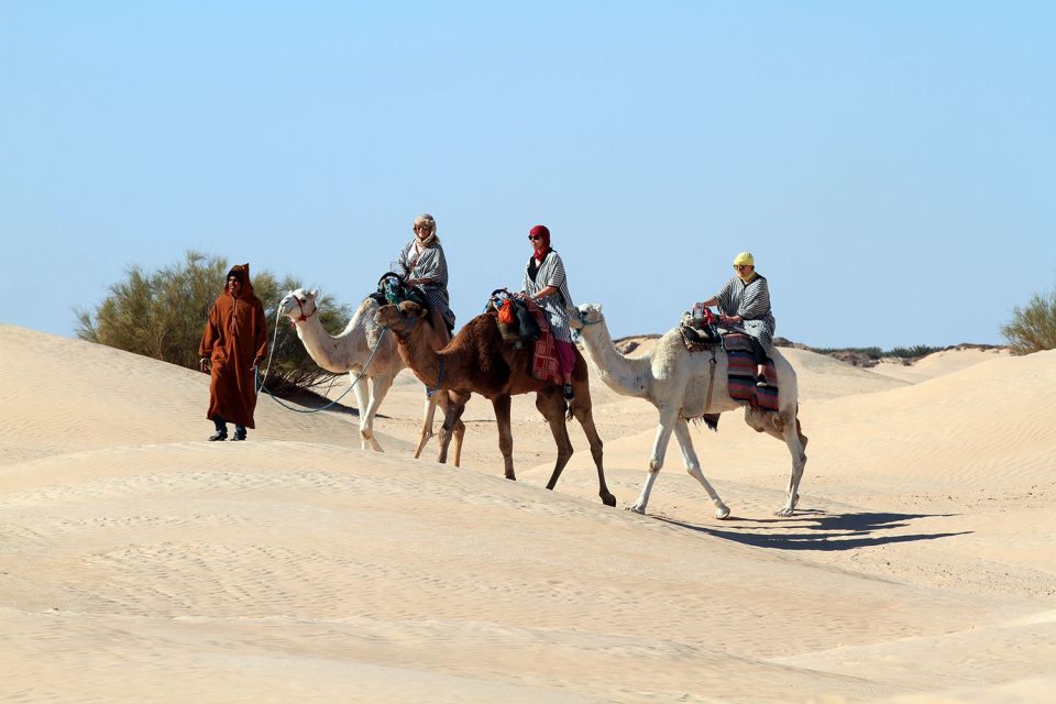 Douz: Sahara Desert Camel Trek With Lunch - Booking Details
