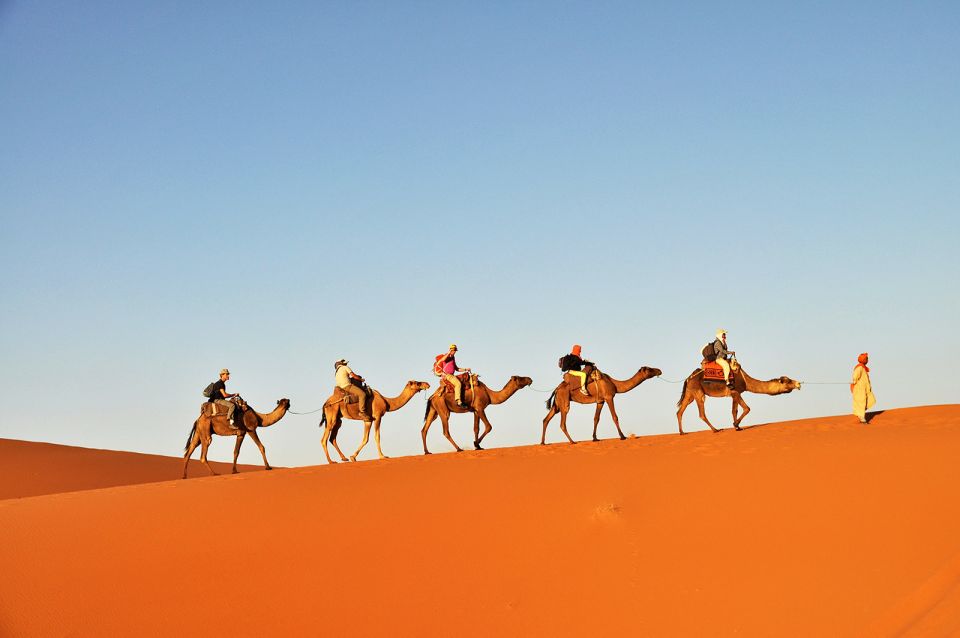 Douz: Sunset or Sunrise Sahara Desert Camel Ride - Key Points