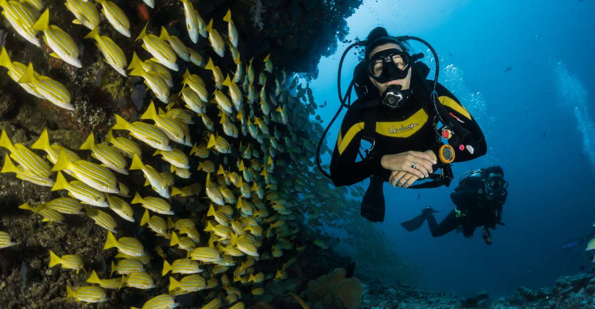 DSD Discover Scuba Diving for a Beginner Orcertified - Key Points