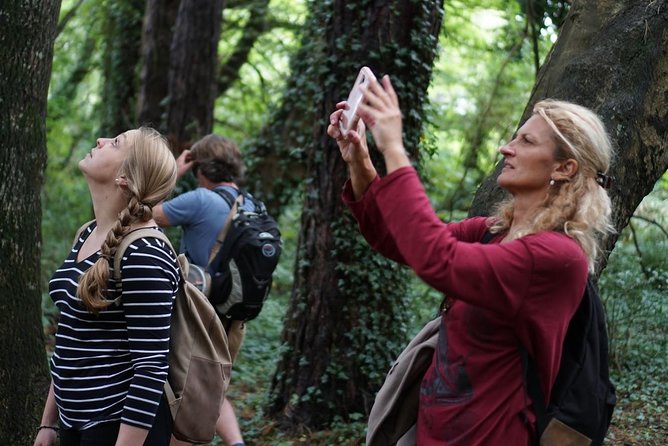 Dublin Coastal Hike With Howth Adventures - Tour Overview