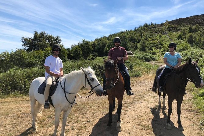 Dublin to Wicklow and Glendalough Guided Tours With Horse Riding - Tour Itinerary