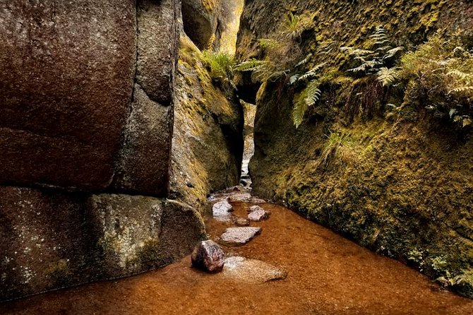 Dunnottar & Deeside Castle & Distillery Private One Day Tour & Photo Workshop - Tour Details