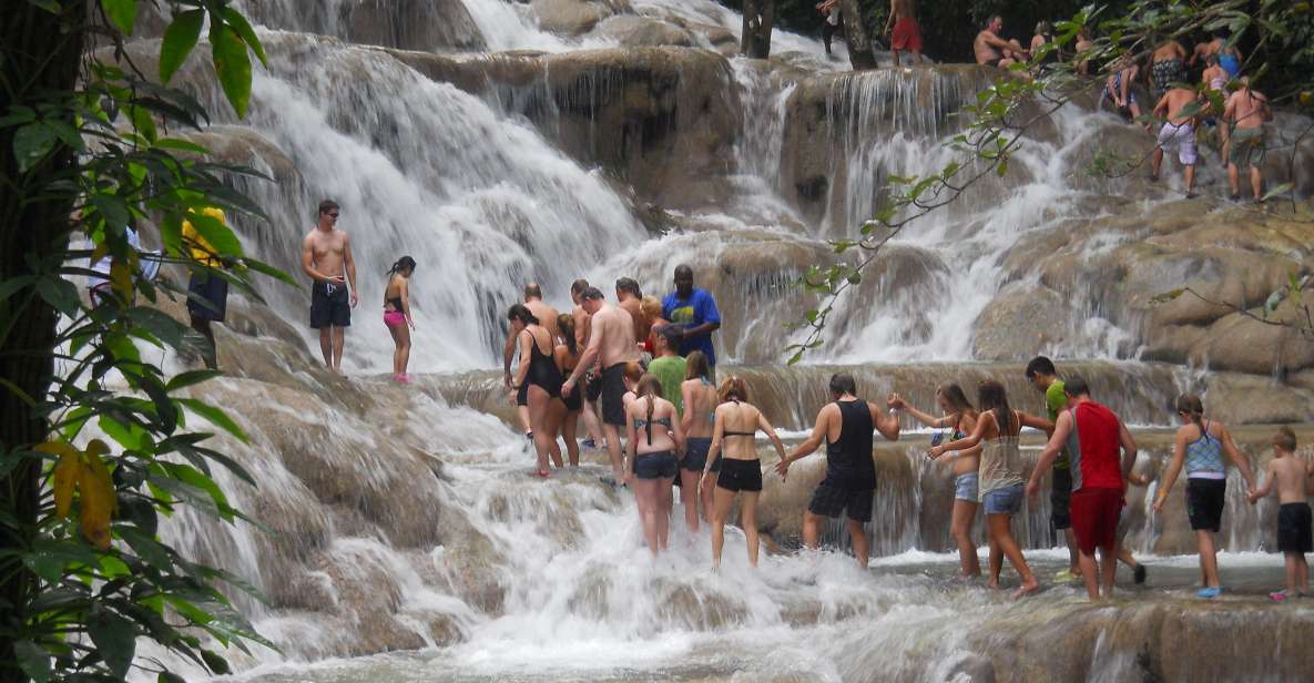 Dunn's River Falls Climb and Private Transportation - Key Points