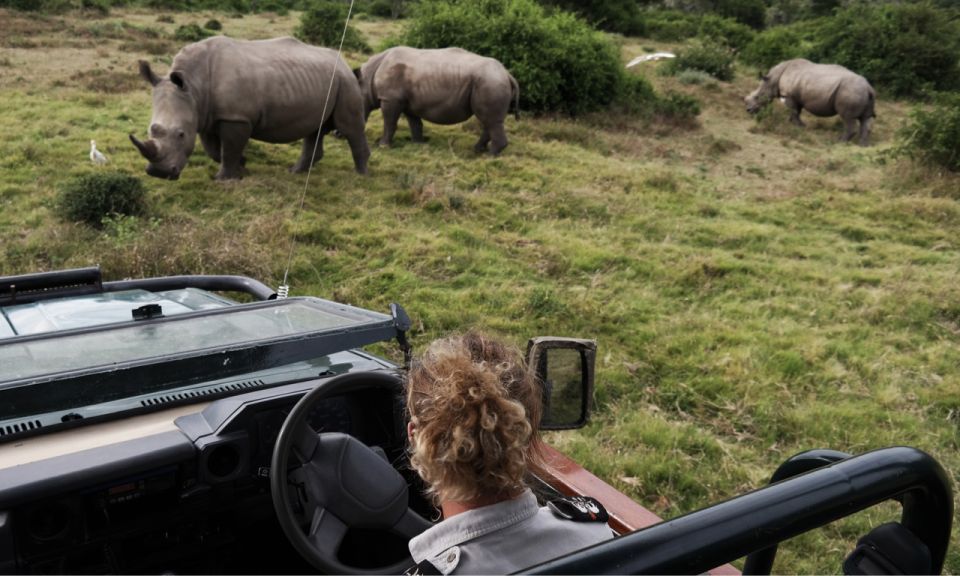 Durban: Full-Day Big 5 Safari @ Manyoni Private Game Reserve - Just The Basics
