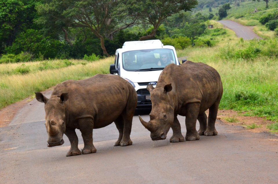 Durban: Hluhluwe Imfolozi Safari & Isimangaliso Tour - Just The Basics