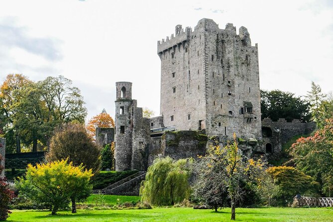 Easy Access Blarney Stone and Castle Gardens Tour - Key Points