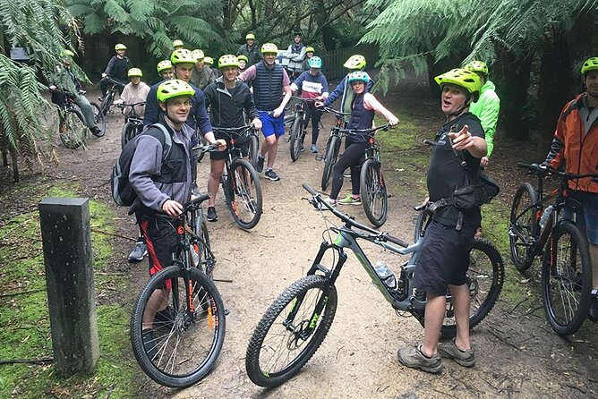 Easy Bike Tour - Mt Wellington Summit Descent & Rainforest Ride - Just The Basics