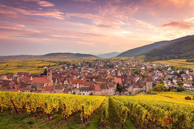 Eguisheim, Kayserberg, Ribeauville, and Riquewihr Private Tour  - Colmar - Key Points