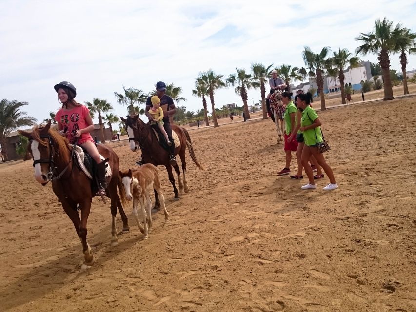 El Gouna: Desert & Sea Horse Riding With Swimming Optional - Key Points