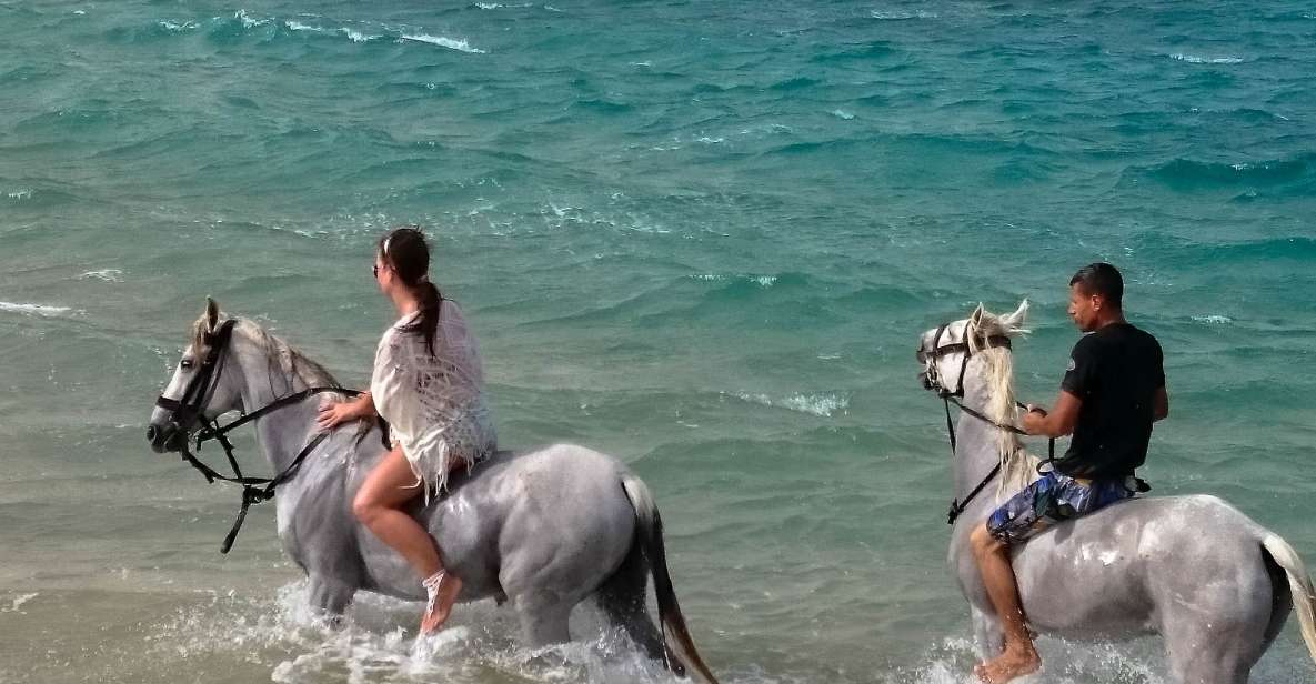 El Gouna: Desert & Sea Horse Riding With Swimming Optional - Key Points