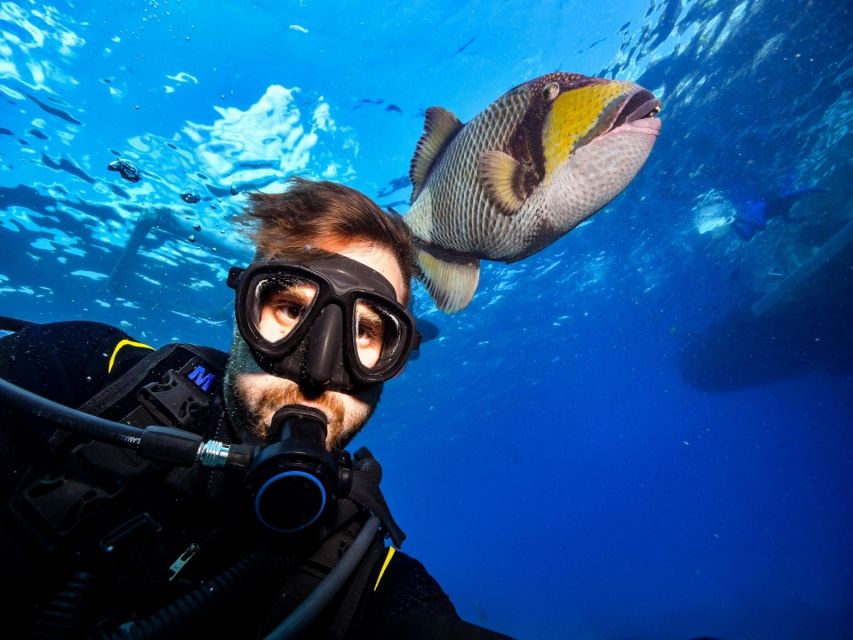El Gouna: Diving or Snorkeling 2 Spots Boat Trip With Lunch - Key Points
