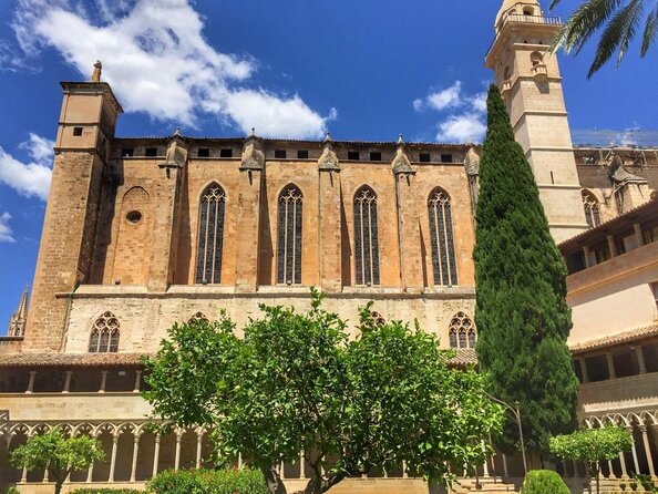 Electric Scooter Tour in Palma De Mallorca - Just The Basics