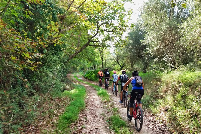 Eleftherna E-Bike and MTB Tour - Experience The Authentic Crete - Just The Basics