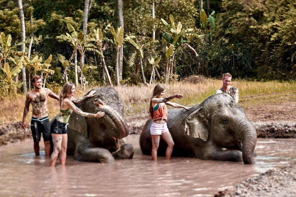 Elephant Care Experience With Mud Bath at Bali Zoo - Key Points