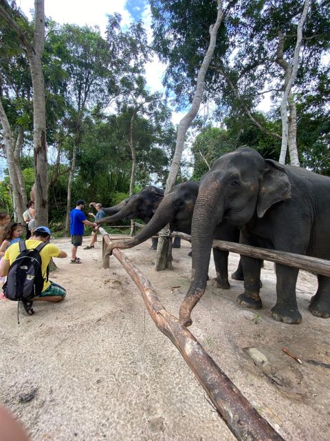 Elephant Forest & Floating Village Private Tour - Key Points