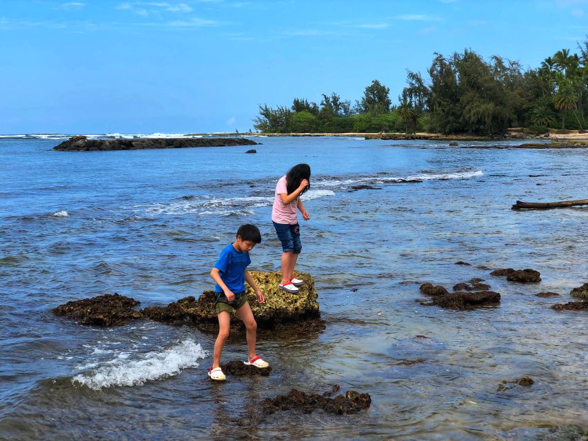 Enjoy Private Professional Photo Tour in Honolulu Island - Key Points