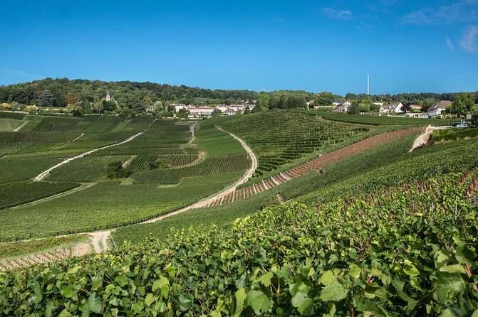Epernay and Vineyards With Champagne Tasting - Key Points