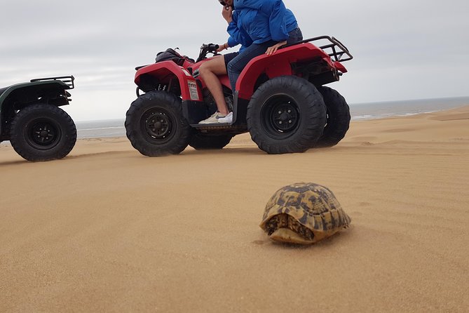 Essaouira: 2-Hour Quad Ride (Minimum 2 People) - Key Points