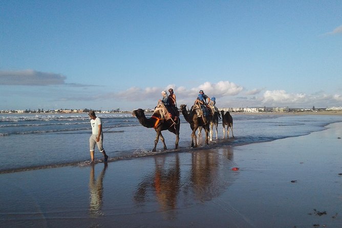 Essaouira: an Unforgettable 2 Hour Ride on a Camel - Additional Information