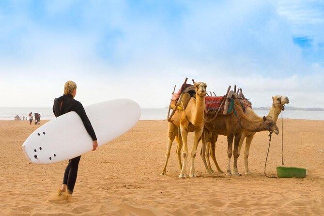 Essaouira Day Trip From Marrakech Including Surf Training - Key Points