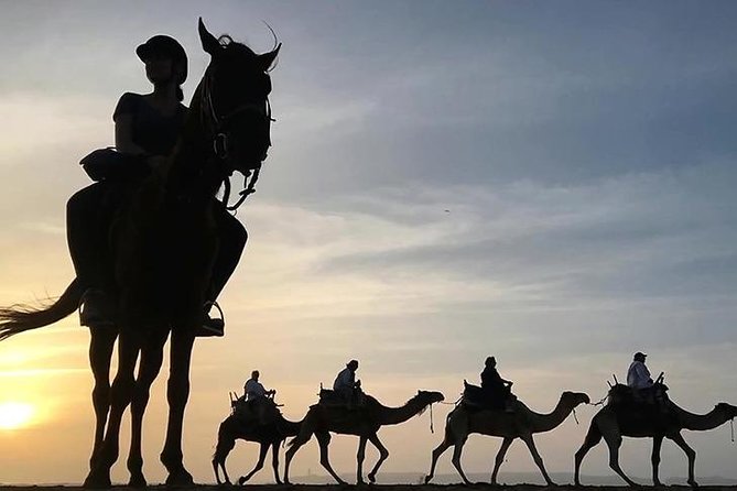 Essaouira Dromedary Camel or Horse Ride - Key Points