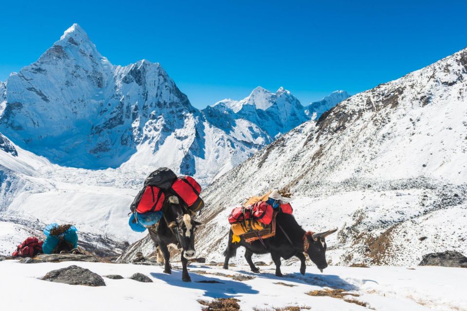 Everest Base Camp Trek With Gokyo Lakes - 16-Day Adventure - Key Points