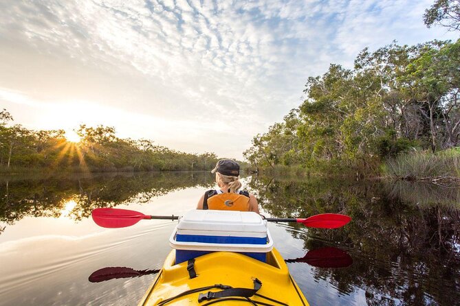 Everglades Explorer - Noosa Everglades Tour - Just The Basics