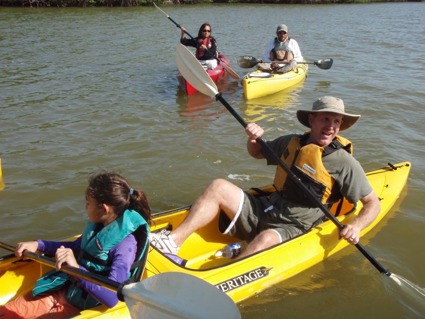 Everglades National Park 3-Hour Kayak Eco Tour - Key Points