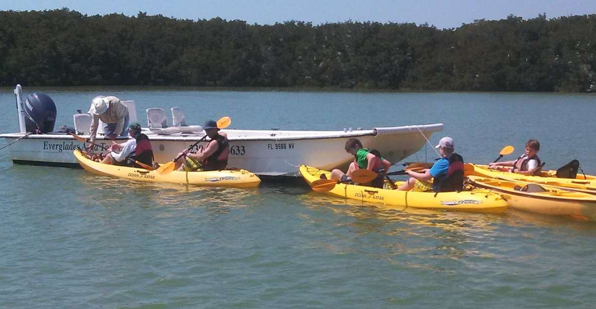 Everglades National Park: Boat Assisted Kayak Eco Tour - Key Points