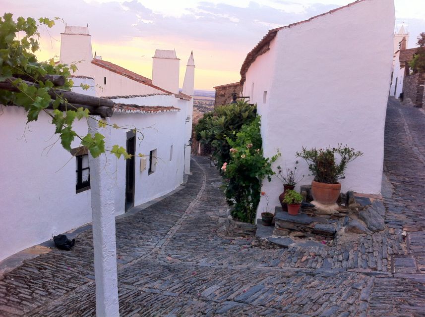 Evora and Monsaraz Private Tours From Lisbon - Key Points