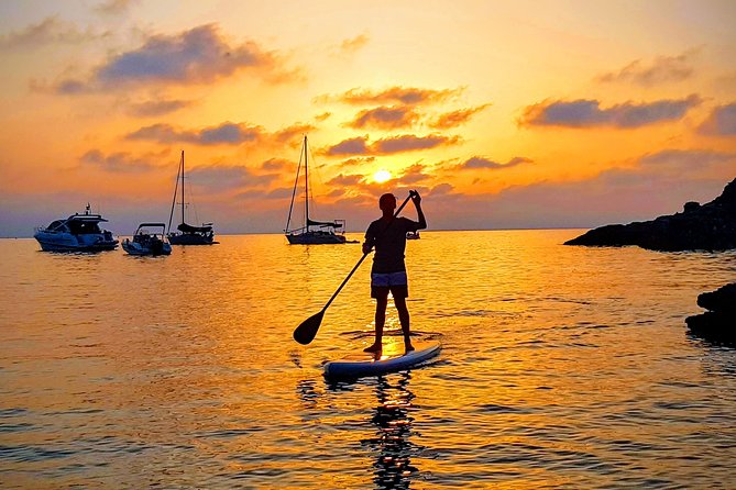 Exclusive Paddle Board Around Porquerolles and Giens - Transfer by Boat. - Key Points