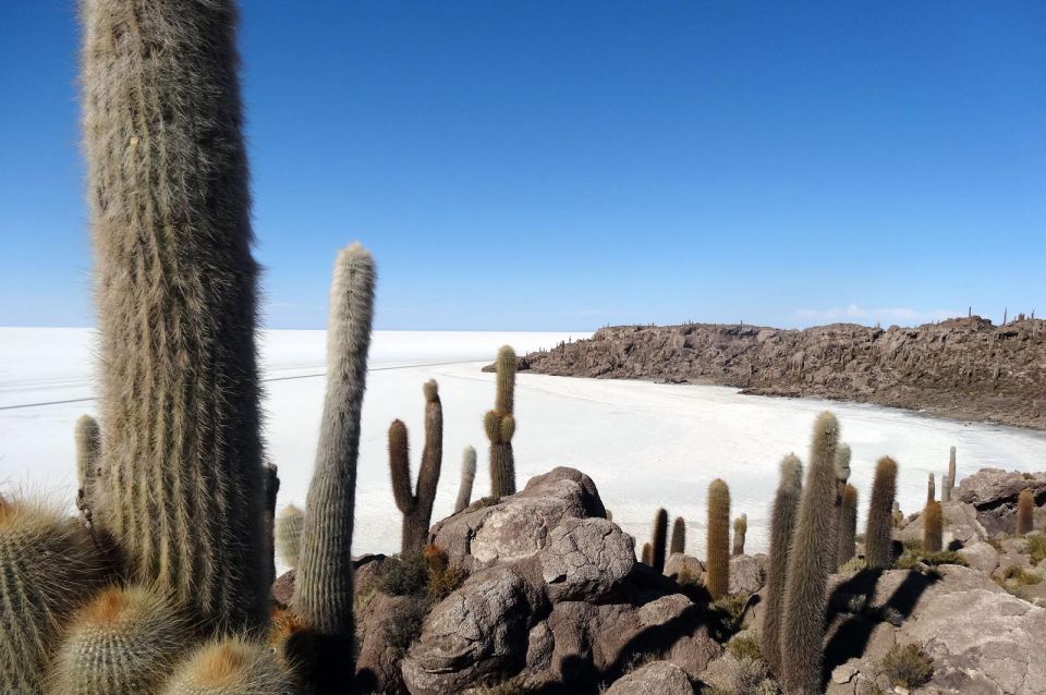 Excursion to the Salar De Uyuni 1 Day Lunch - Key Points
