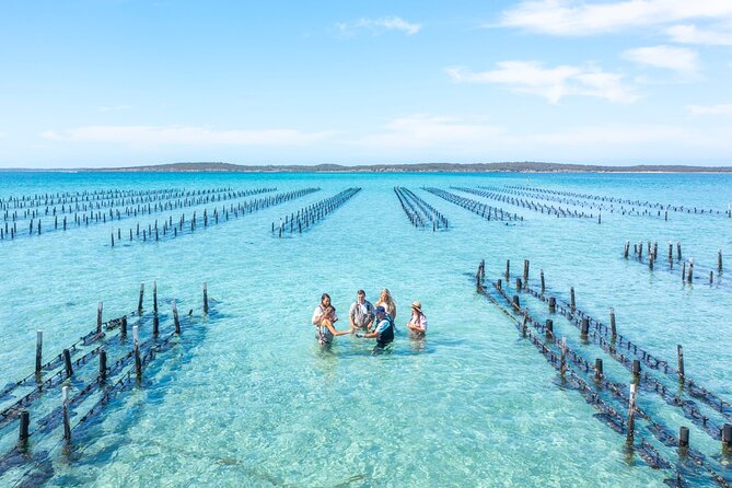 Experience Coffin Bay Oyster Farm and Bay Tour - Just The Basics