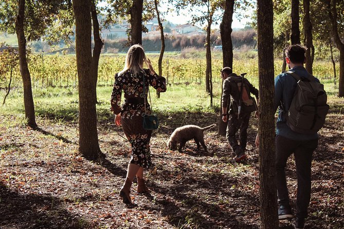 Experience Tuscan Truffle Hunting With Wine and Lunch - Key Points