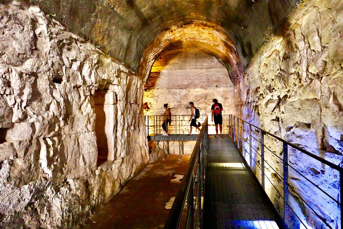 Expert Guided Tour of Colosseum Underground or Arena and Forum - Just The Basics