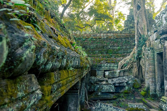 Explore Angkor Wat Temple , Bayon Temple and Jungle Temple Ta-Prohm - Key Points