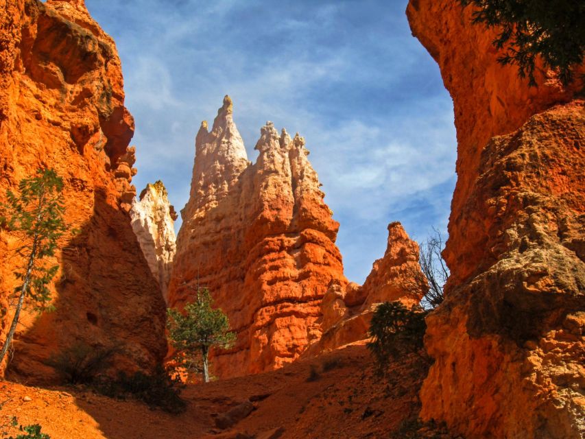 Explore Bryce Canyon: Private Full-Day Tour From Salt Lake - Key Points