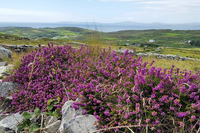 Explore Cape Clear Island Departing From Schull - Self-Guided - Booking Details