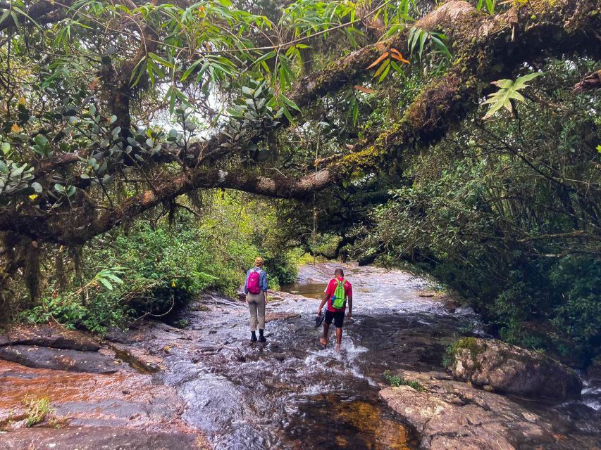 Exploring Knuckles: Hiking the Hidden Gem of Sri Lanka - Key Points