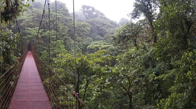 Extreme Nature Hike Fortuna to Monteverde - Key Points