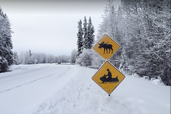 Fairbanks Snowmobile Adventure From North Pole - Just The Basics