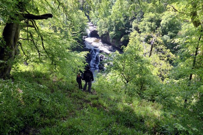Falls of Clyde: Private Walking Tour From Glasgow - Admission and Operator Information