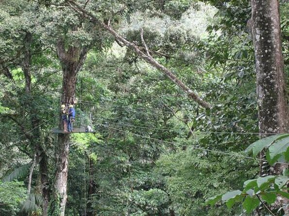 Family-Friendly Rafting Adventure on the Sarapiqui River  - La Fortuna - Key Points